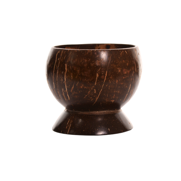 Coconut Shell Toothbrush Holder